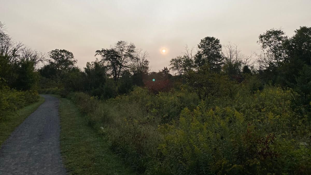 Wildfire Air Quality